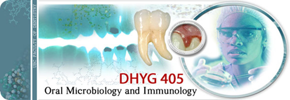 DHYG 405