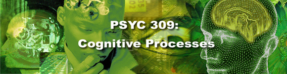 PSYC 309